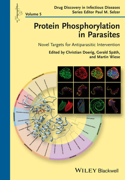 Protein Phosphorylation in Parasites - Группа авторов