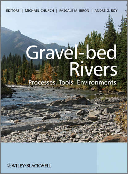 Gravel Bed Rivers - Группа авторов