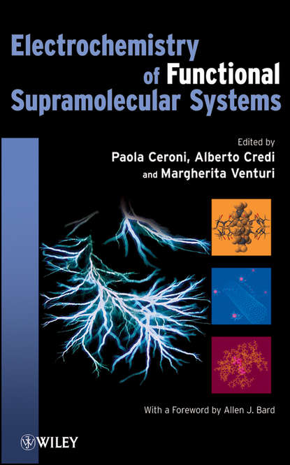 Electrochemistry of Functional Supramolecular Systems - Группа авторов