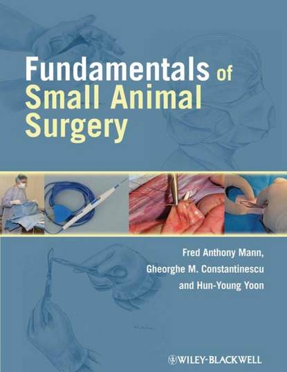 Fundamentals of Small Animal Surgery - Группа авторов