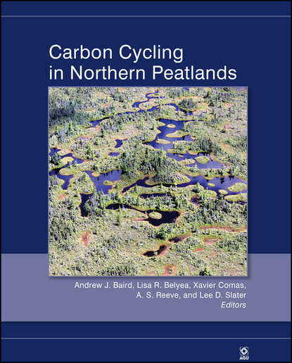 Carbon Cycling in Northern Peatlands - Группа авторов