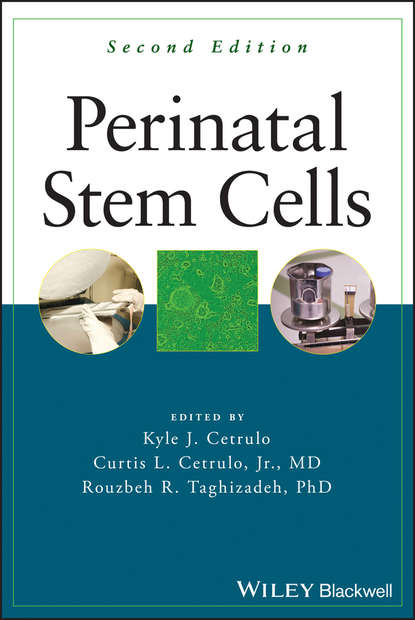 Perinatal Stem Cells - Группа авторов