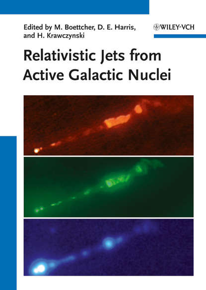 Relativistic Jets from Active Galactic Nuclei - Группа авторов