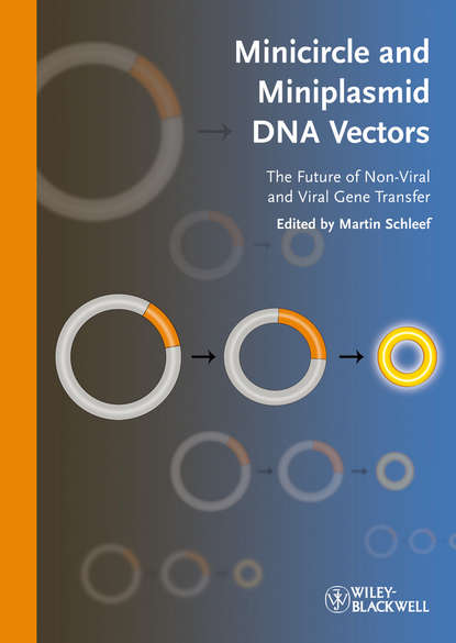 Minicircle and Miniplasmid DNA Vectors - Группа авторов