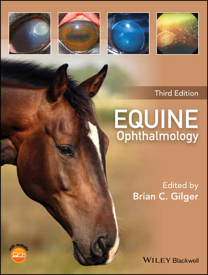 Equine Ophthalmology - Группа авторов