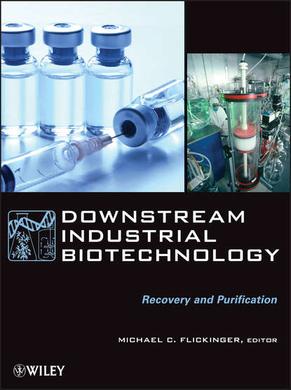 Downstream Industrial Biotechnology - Группа авторов