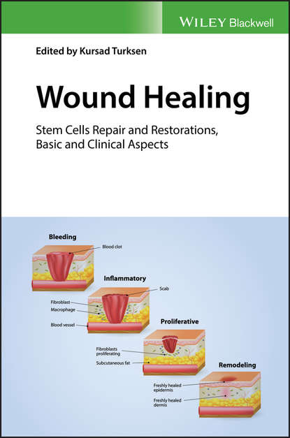 Wound Healing - Группа авторов