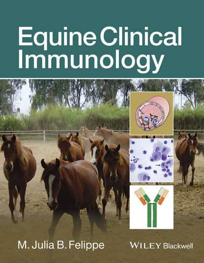 Equine Clinical Immunology - Группа авторов