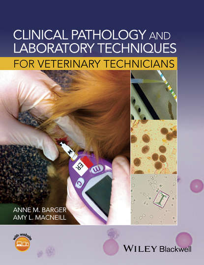 Clinical Pathology and Laboratory Techniques for Veterinary Technicians - Группа авторов