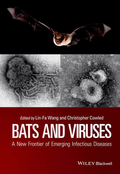 Bats and Viruses — Группа авторов