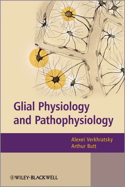 Glial Physiology and Pathophysiology - Группа авторов