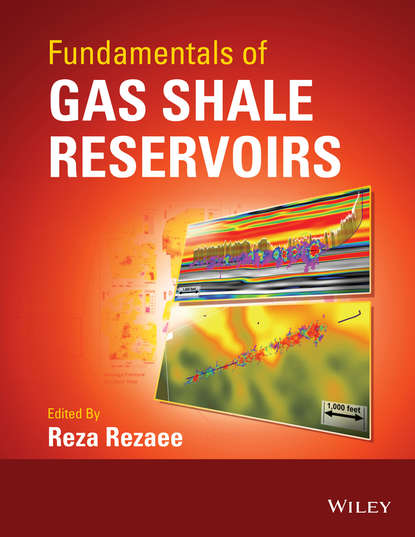 Fundamentals of Gas Shale Reservoirs - Группа авторов