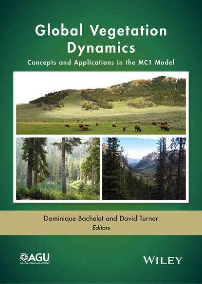 Global Vegetation Dynamics - Группа авторов