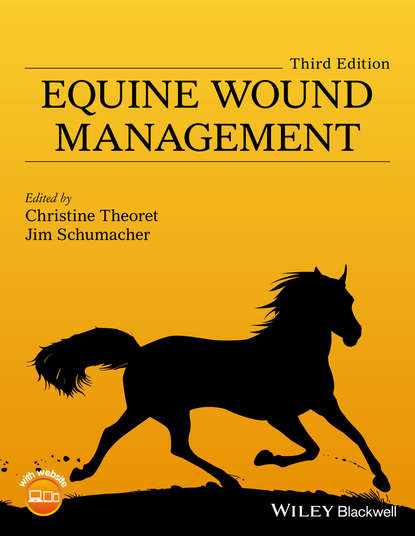 Equine Wound Management - Группа авторов