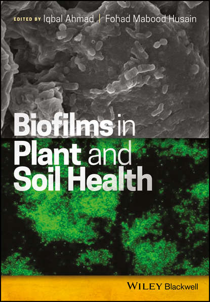 Biofilms in Plant and Soil Health — Группа авторов