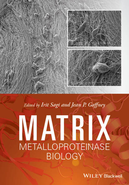 Matrix Metalloproteinase Biology - Группа авторов