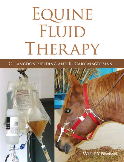 Equine Fluid Therapy - Группа авторов