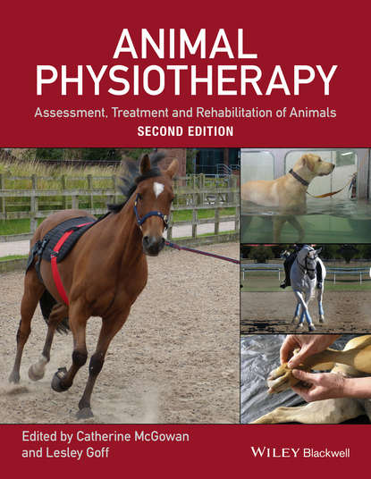 Animal Physiotherapy - Группа авторов