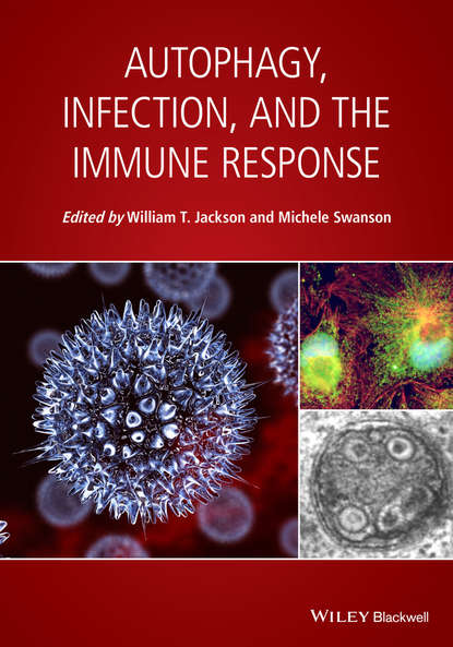 Autophagy, Infection, and the Immune Response - Группа авторов