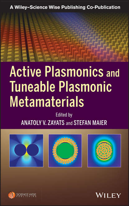 Active Plasmonics and Tuneable Plasmonic Metamaterials - Группа авторов