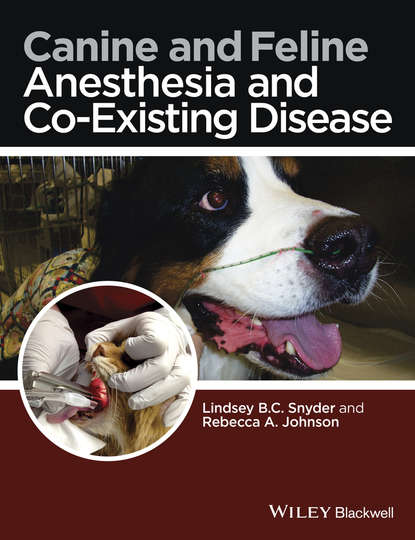 Canine and Feline Anesthesia and Co-Existing Disease - Группа авторов