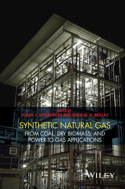 Synthetic Natural Gas - Группа авторов