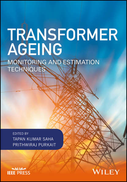 Transformer Ageing — Группа авторов