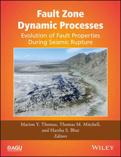 Fault Zone Dynamic Processes - Группа авторов