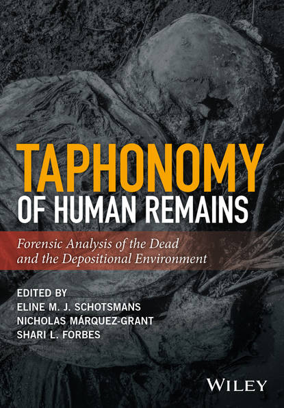 Taphonomy of Human Remains — Группа авторов