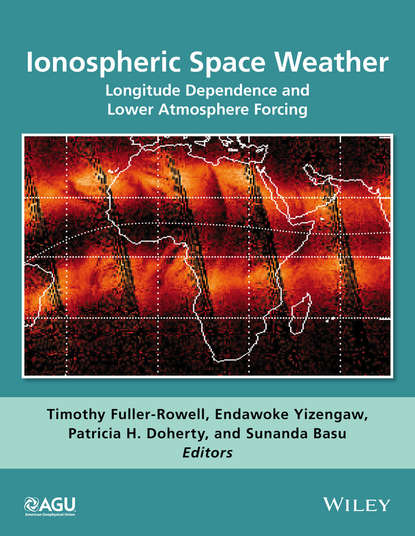 Ionospheric Space Weather - Группа авторов