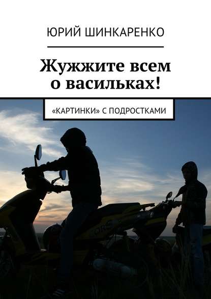 Жужжите всем о васильках! «Картинки» с подростками — Юрий Шинкаренко