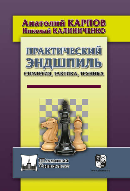 Практический эндшпиль. Стратегия, тактика, техника — Николай Калиниченко