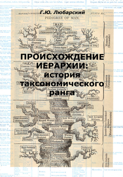 Происхождение иерархии: история таксономического ранга — Г. Ю. Любарский