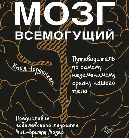 Мозг всемогущий. Путеводитель по самому незаменимому органу нашего тела — Кайя Норденген