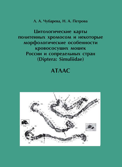 Цитологические карты политенных хромосом и некоторые морфологические особенности кровососущих мошек России и сопредельных стран (Diptera: Simuliidae) — Н. А. Петрова