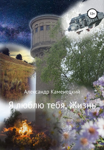 Я люблю тебя, Жизнь — Александр Феликсович Каменецкий