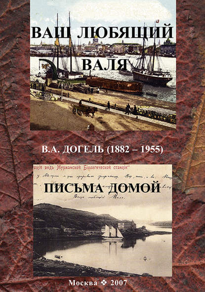 Ваш любящий Валя. В. А. Догель (1882–1955). Письма домой — Группа авторов