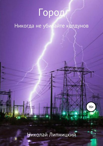 Город. Никогда не убивайте колдунов - Николай Иванович Липницкий