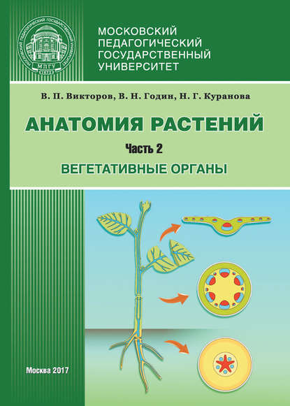 Анатомия растений. Часть 2. Вегетативные органы — Наталия Куранова