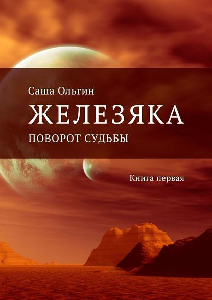 Железяка. Поворот судьбы. Книга первая — Саша Ольгин