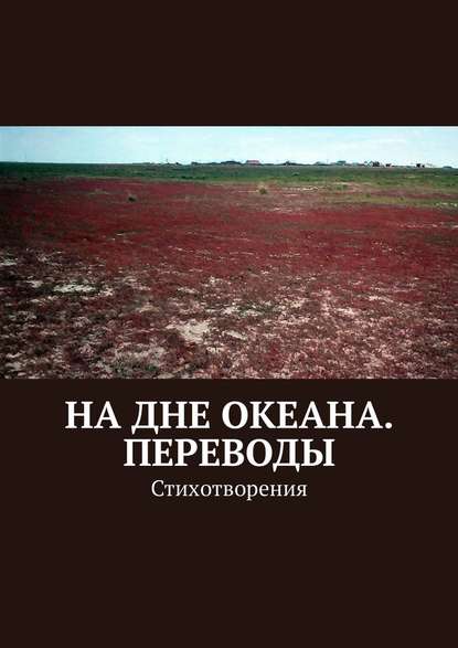 На дне океана. Переводы. Стихотворения - Виктор Балдоржиев