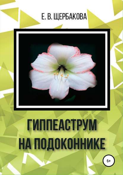 Гиппеаструм на подоконнике - Елена Владимировна Щербакова