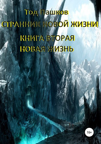 Странник новой жизни. Книга вторая. Новая жизнь — Тод Пашков