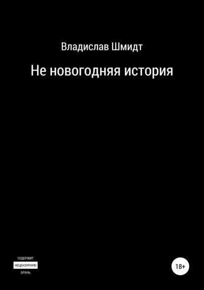 Не новогодняя история — Владислав Шмидт