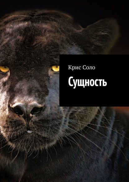 Сущность — Крис Соло