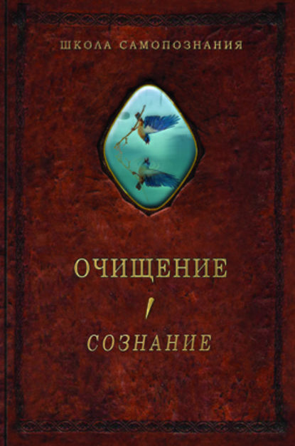 Очищение. Том 1. Организм. Психика. Тело. Сознание — Александр Шевцов (Андреев)