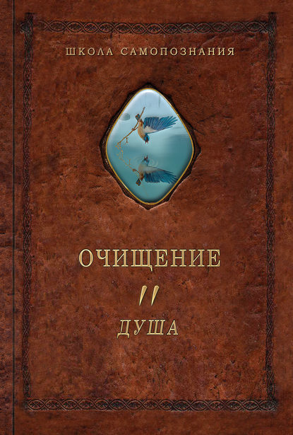 Очищение. Том 2. Душа — Александр Шевцов (Андреев)