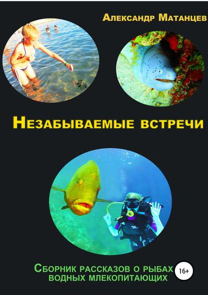 Незабываемые встречи. Сборник рассказов о рыбах и водных млекопитающих - Александр Матанцев