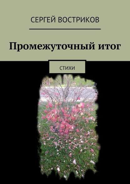 Промежуточный итог. Стихи - Сергей Востриков