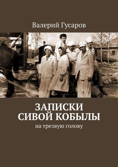 Записки сивой кобылы. На трезвую голову — Валерий Гусаров